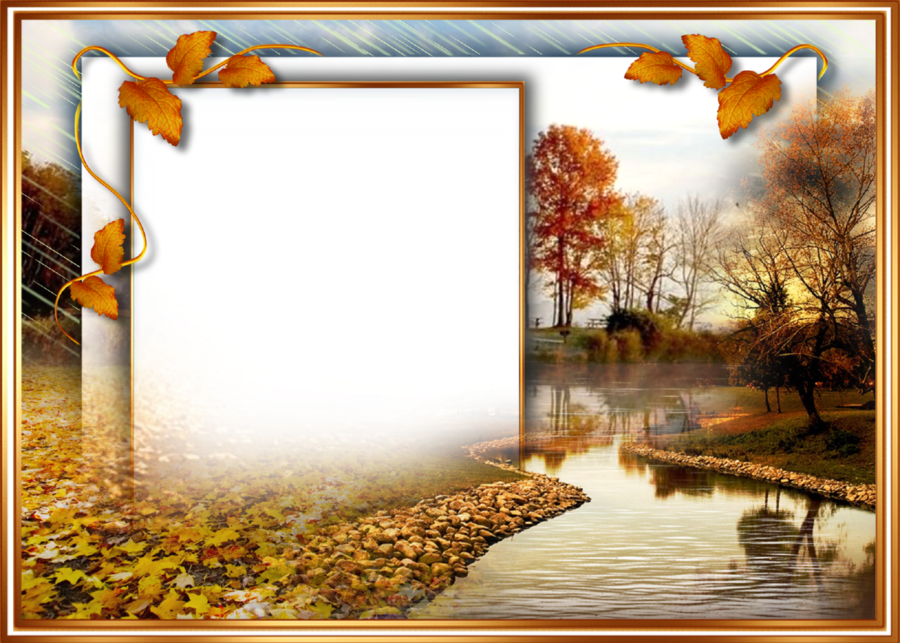 Background Photo Frame Png Trend Pict