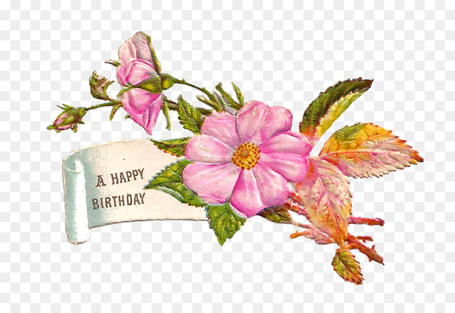 free clipart,transparent png image,clip art,Birthday, Flower