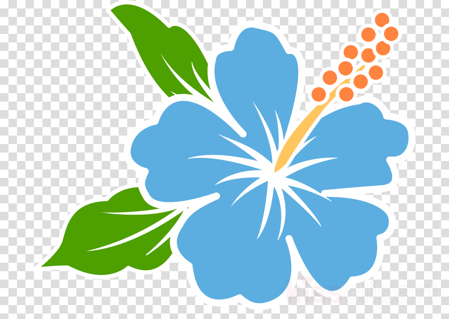 70以上 簡単 沖縄 花 イラスト 最高の壁紙のアイデアcahd