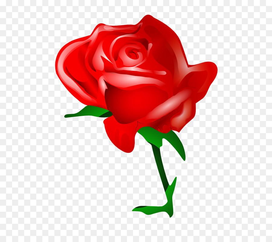 Rose Love Flowers