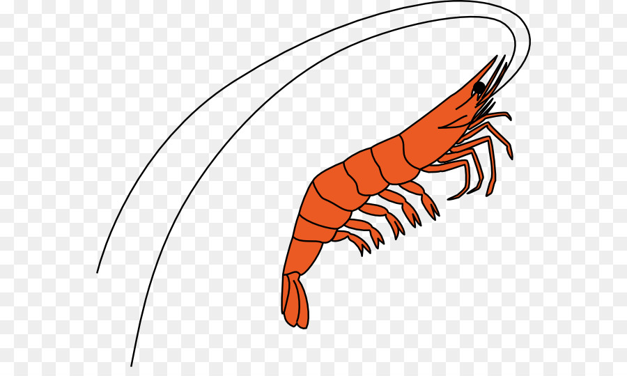 Shrimp Cartoon