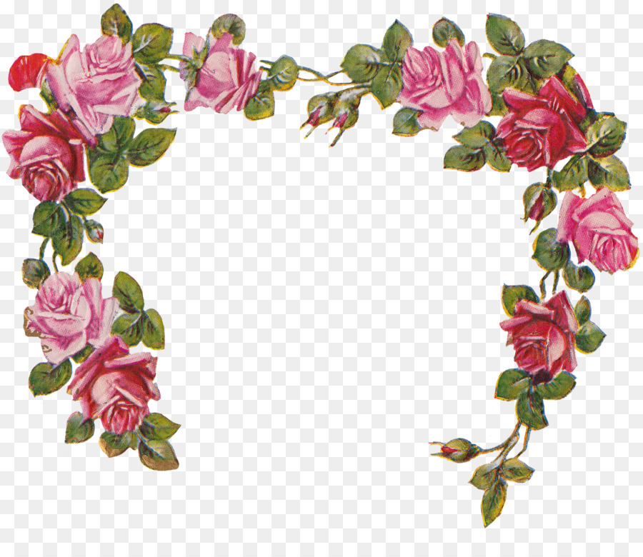 Floral Flower Background clipart - Flower, Rose, transparent clip art