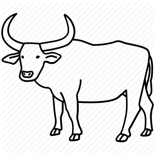 Pencil Clipart Clipart Ox Cattle Drawing Transparent Clip Art