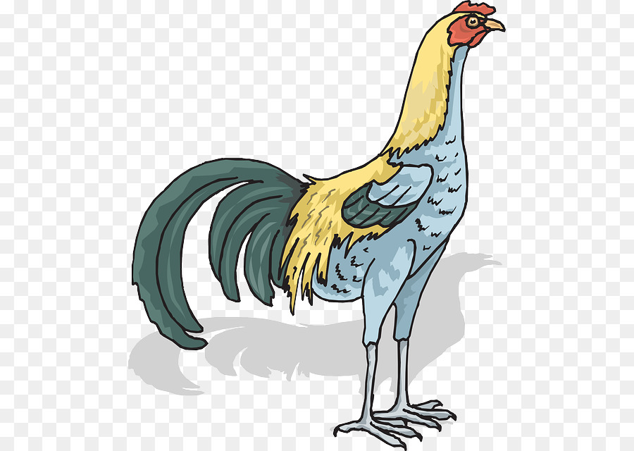 Animal Cartoon Clipart Rooster Chicken Bird Transparent Clip Art