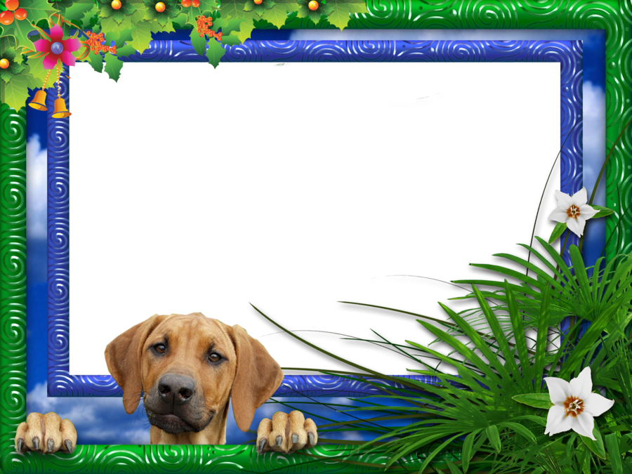 Love Background Frame Clipart Puppy Pet Dog Transparent Clip Art