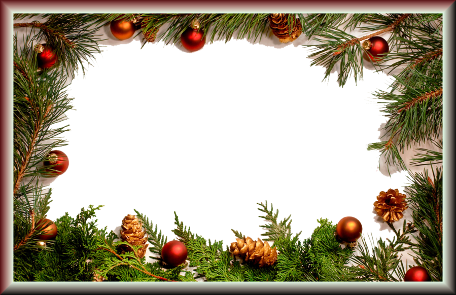 Christmas Tree Branch clipart - Christmas, Tree, Pine, transparent clip art