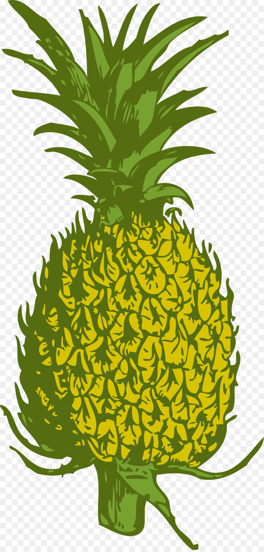 Pineapple Cartoon