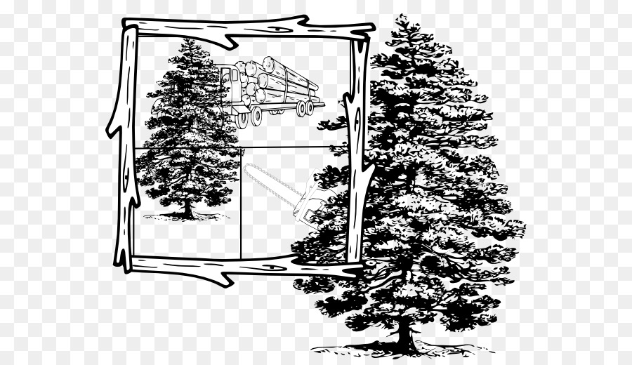 Christmas Black And White Clipart Pine Tree Plant Transparent