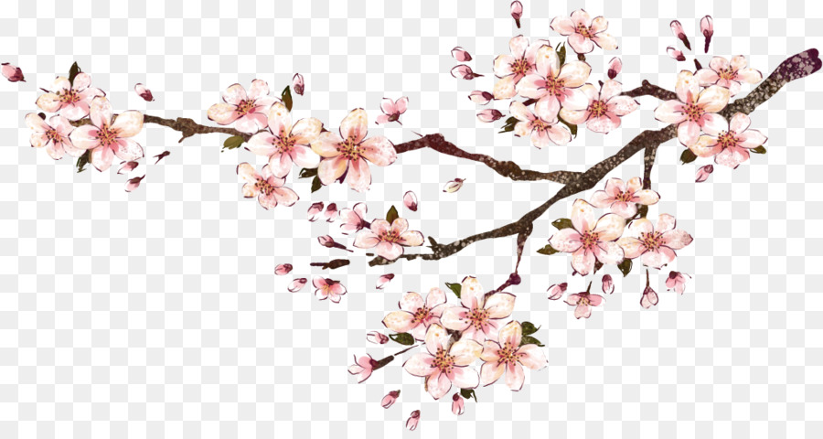 Floral Spring Flowers Clipart Design Flower Pink Transparent
