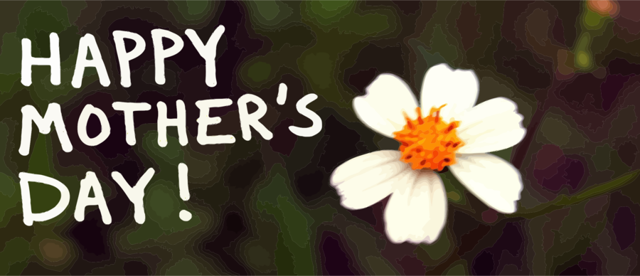 Flower Cartoon Mothers Day clipart - Mother, Flower, Plant, transparent  clip art