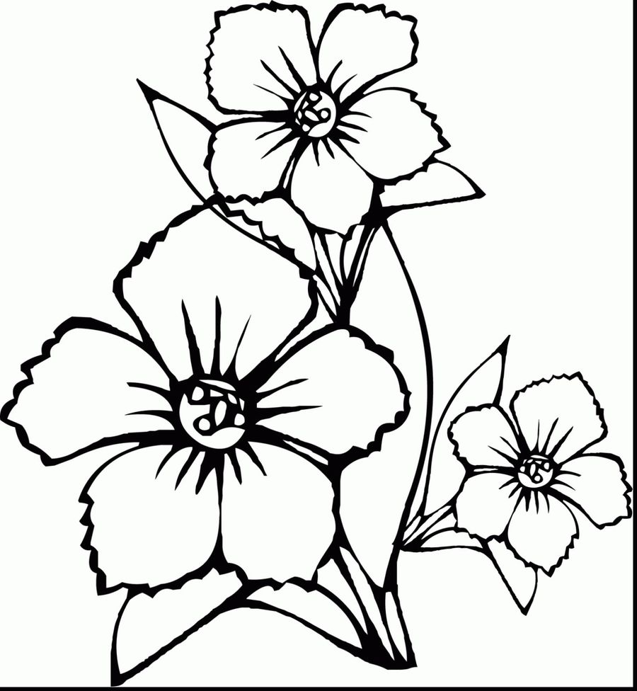 Featured image of post Pencil Drawing Flower Design Drawing Easy / That&#039;s the magic of colored pencil, and learning how to do it is easier than it seems.