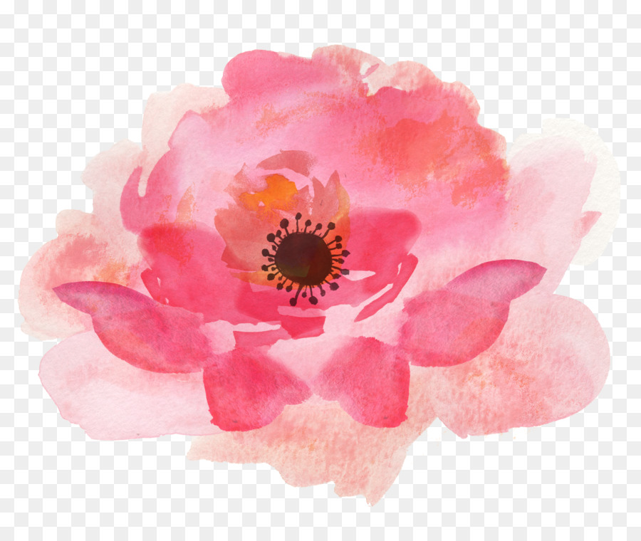 Watercolor Pink Flowers Clipart Flower Design Painting Transparent Clip Art