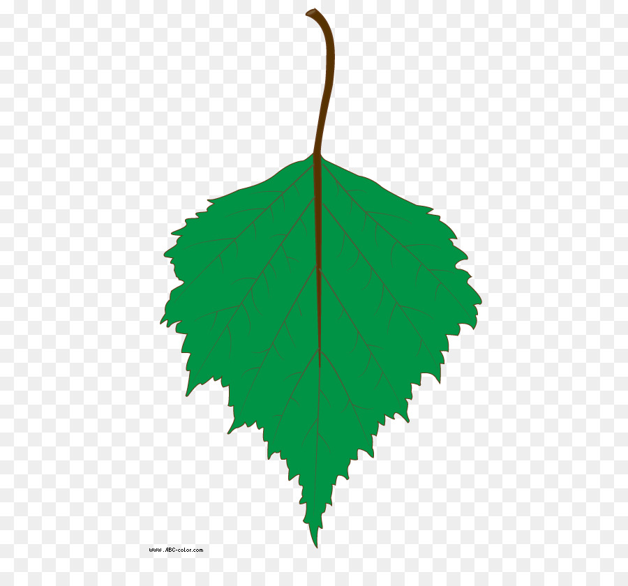 kissclipart-leaf-clipart-birch-clip-art-fbc2e4f2d442f9ea.jpg