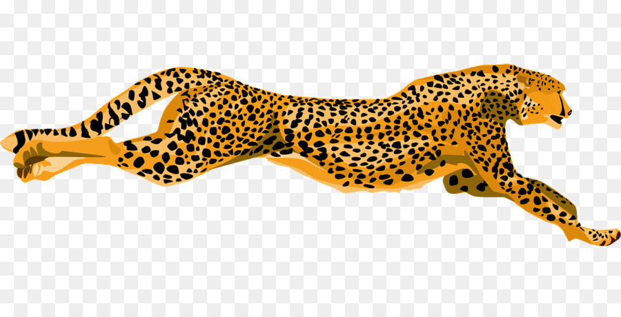 Jaguar Animal Cartoon