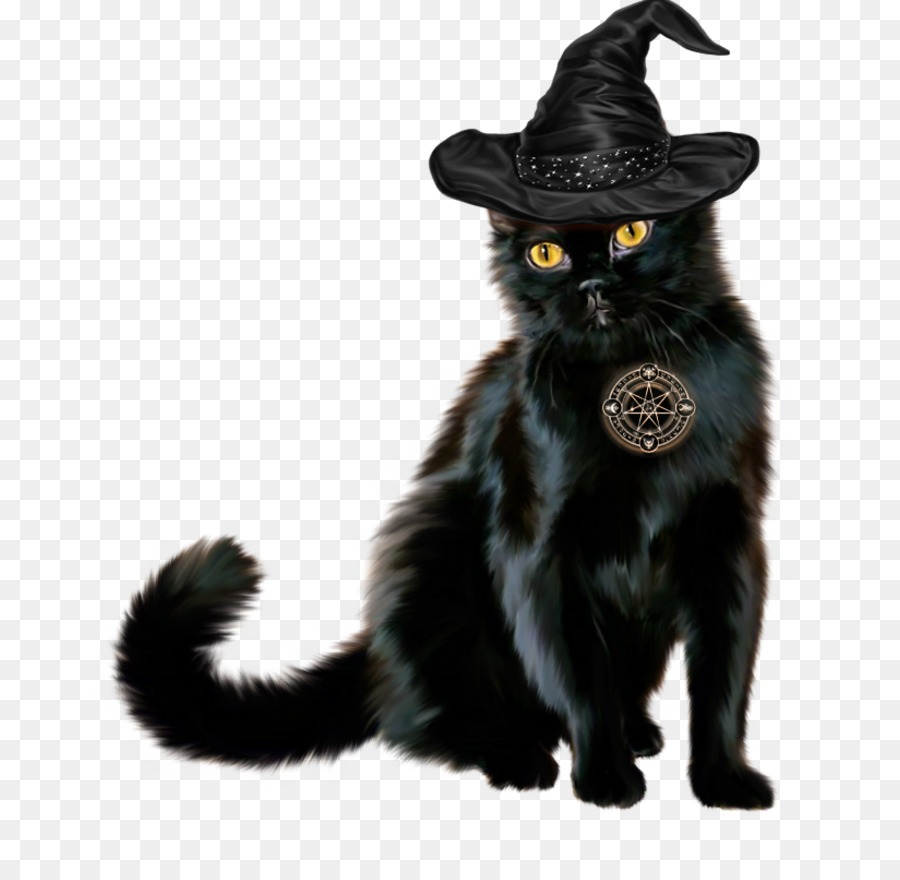 Сказочный черный кот. Чёрный кот. Ведьма с котом. Ведьма с кошкой. Кошка в шляпе.