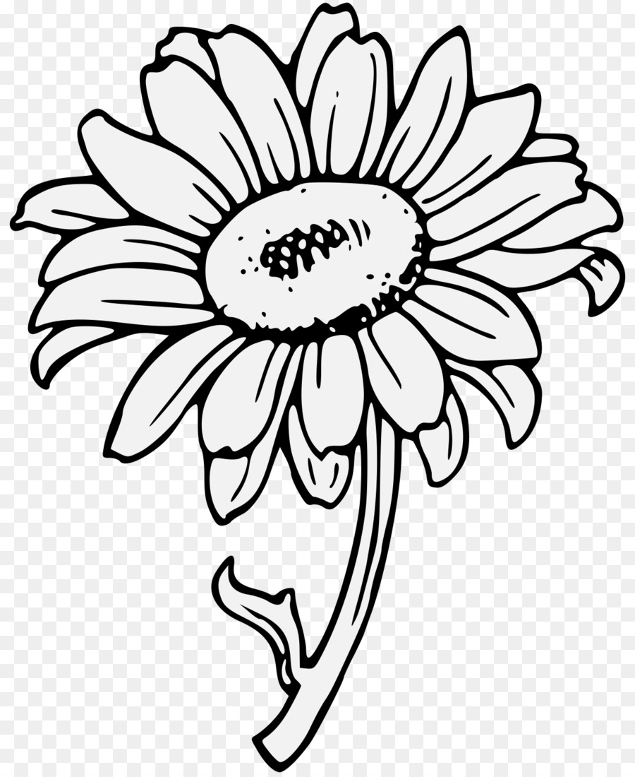 Black And White Flower Clipart Drawing Flower White