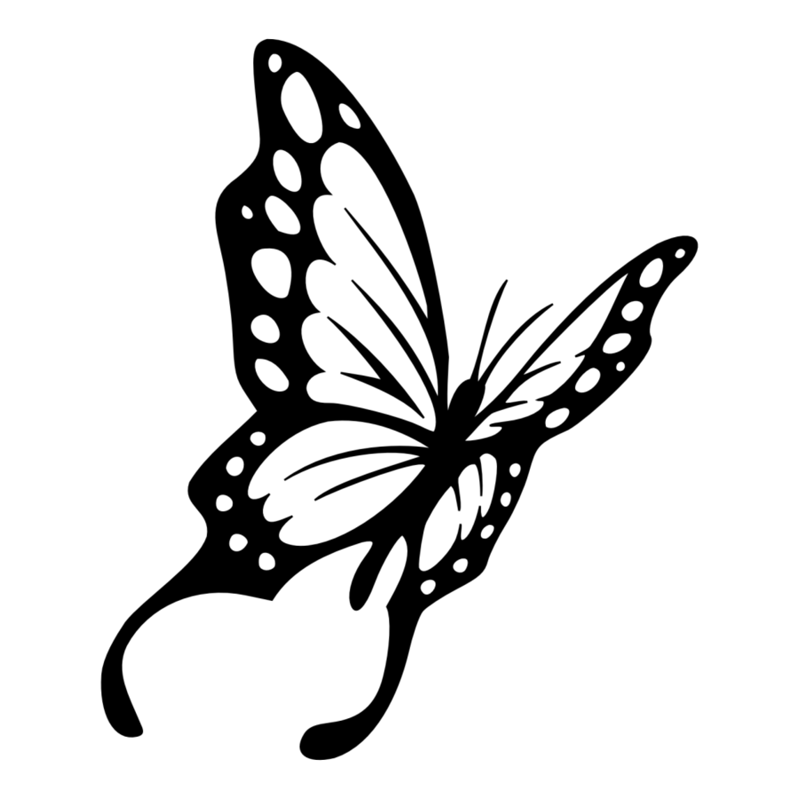 Download Butterfly Drawing From The Side - colouring mermaid
