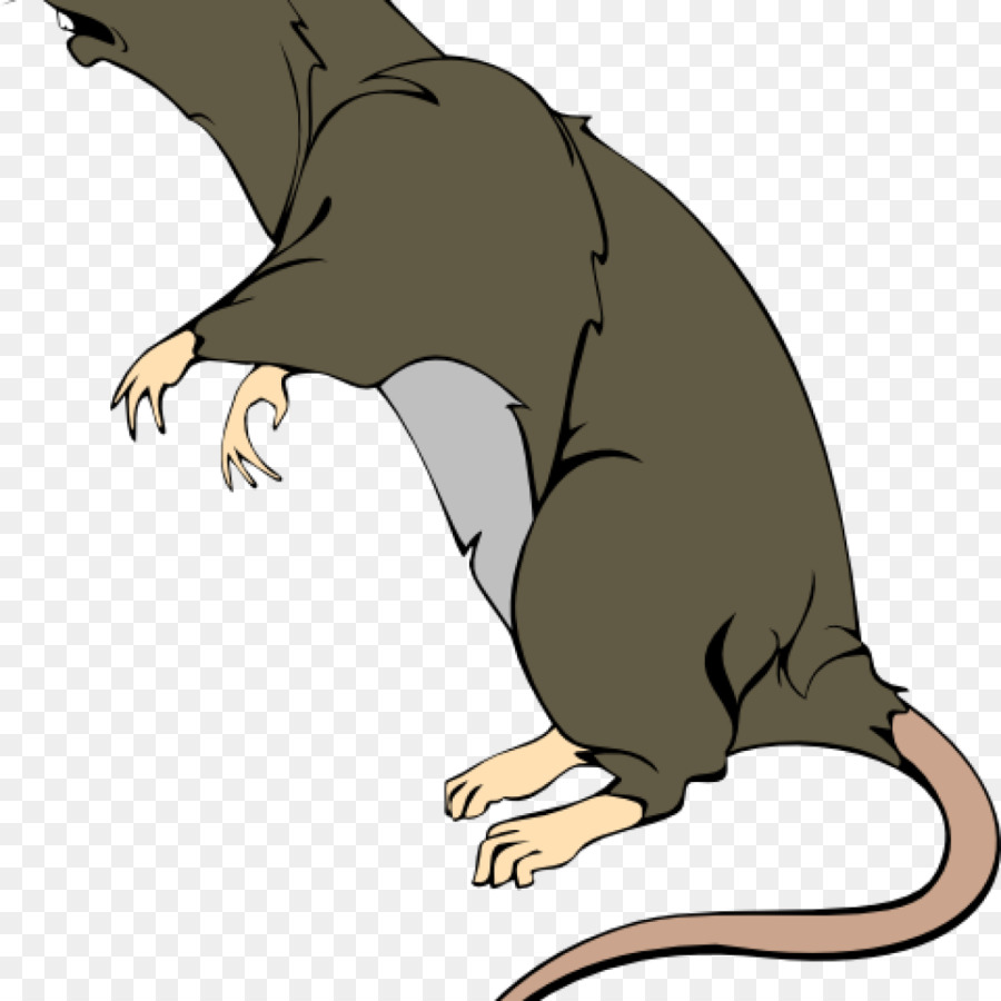 Крыса на задних лапах арт