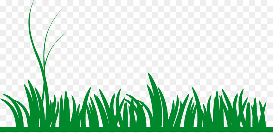 Download Family Tree Background Clipart Plant Green Grass Transparent Clip Art 188é‡'å®æç½'ç«™