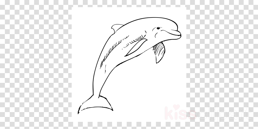Drawing Dolphin Max Installer