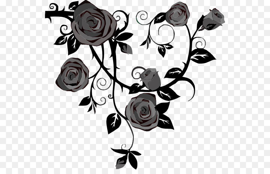 Black And White Flower Clipart Rose Drawing Graphics Transparent Clip Art
