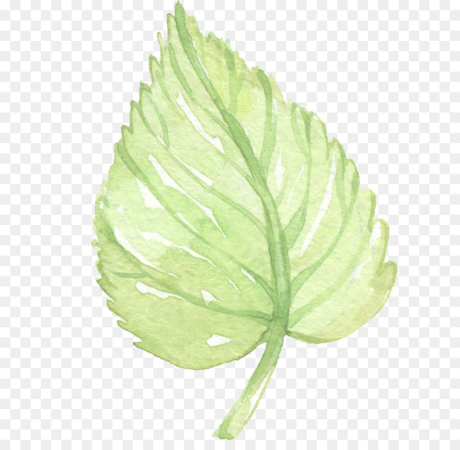 Green Leaf Watercolor Clipart - Leaf, Green, Plant, Transparent Clip Art