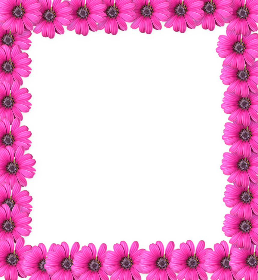 pink flower frame clipart flower rose pink transparent clip art pink flower frame clipart flower