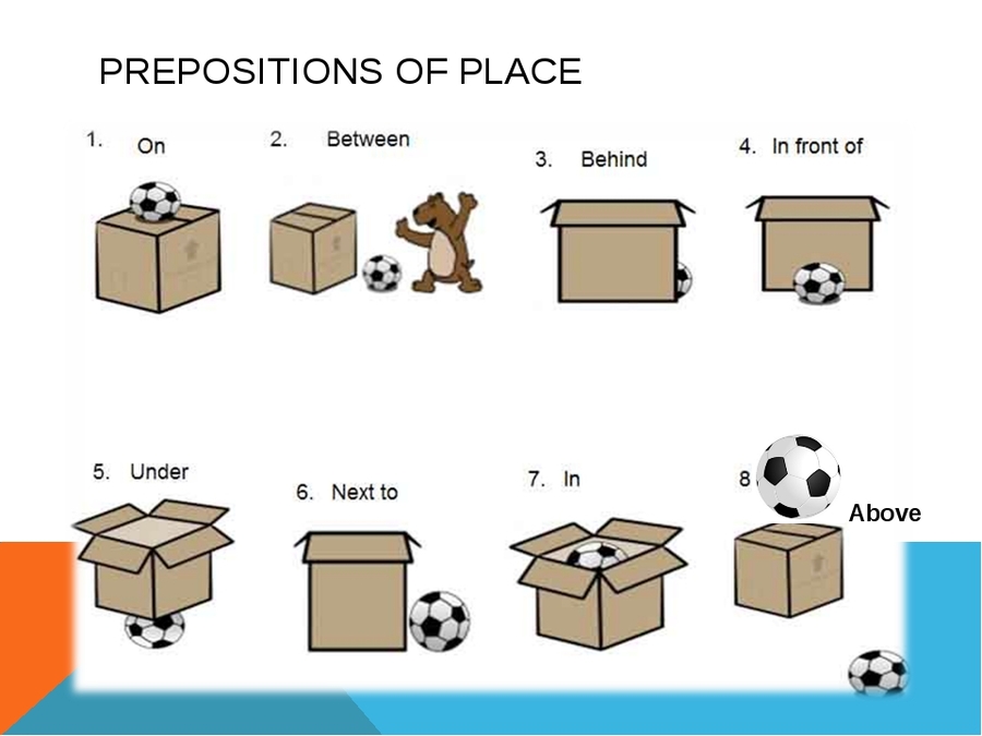 Next to на английском. Предлоги in on under в английском языке. Prepositions of place предлоги места. Prepositions of place на английском. Prepositions of place картинка.