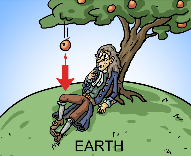 Isaac Newton Apple Tree Cartoon