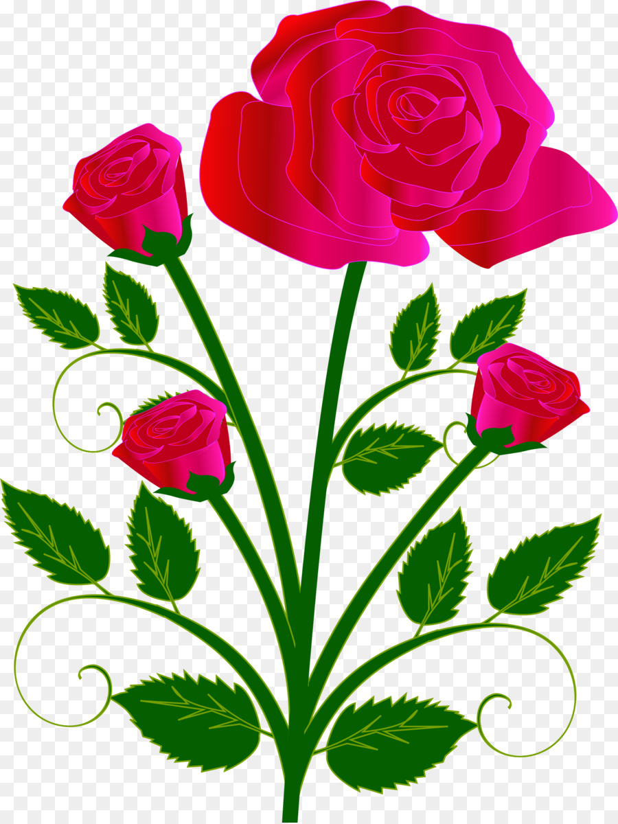 Rose Love Flowers