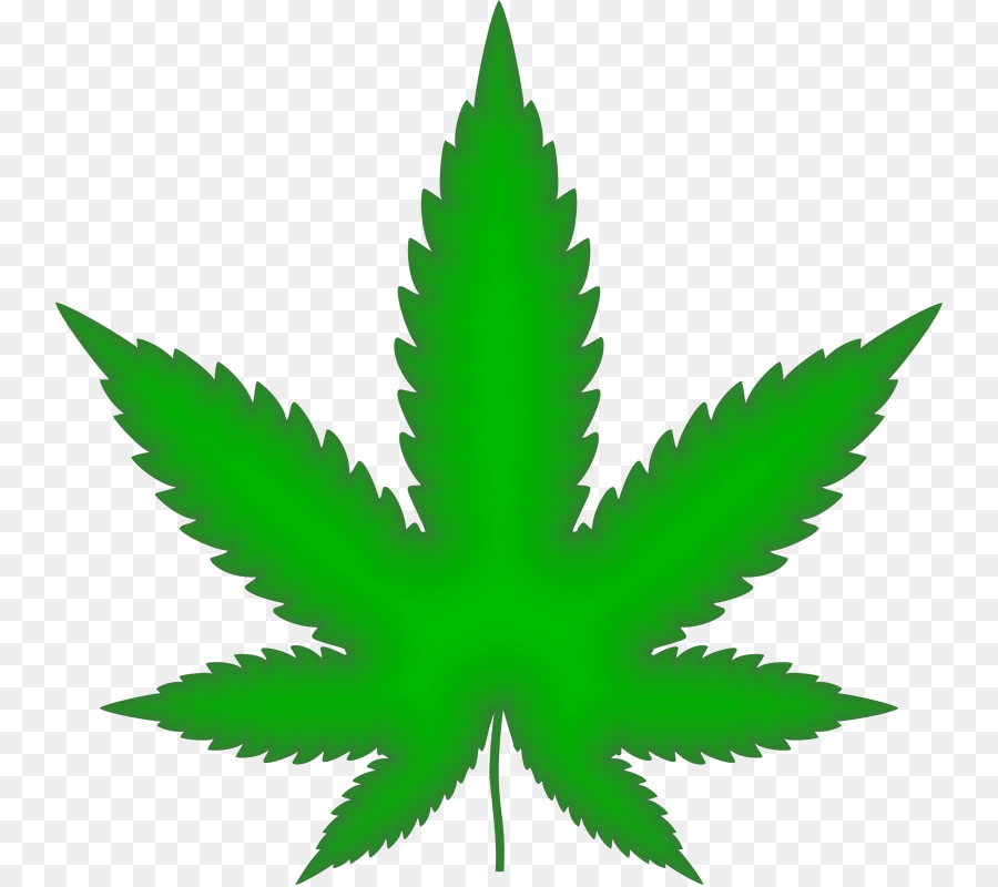 Cannabis Leaf Background clipart - Leaf, Green, Plant, transparent clip art