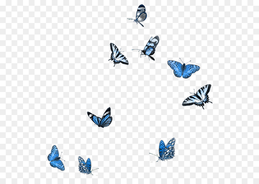 Butterfly Wings Clipart Butterfly Blue Pattern Transparent Clip Art
