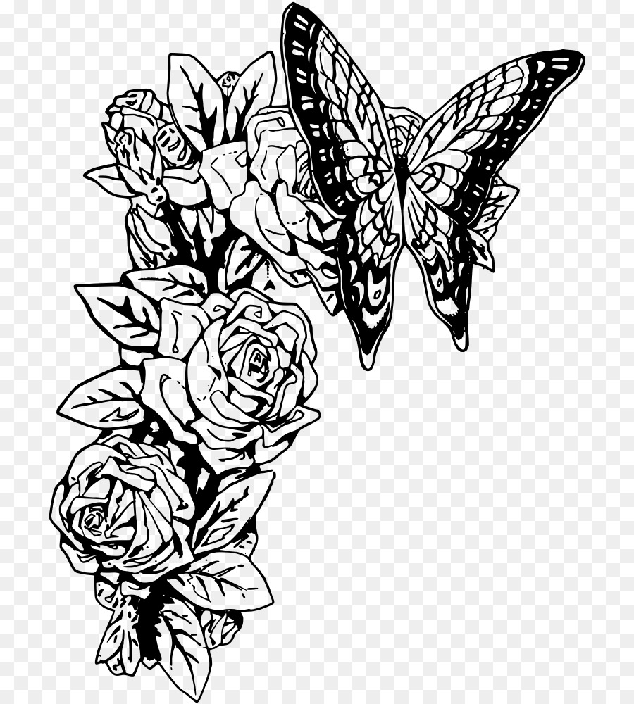 Butterfly Black And White Clipart Butterfly Drawing Illustration Transparent Clip Art