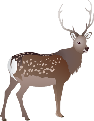Animal Cartoon Clipart Reindeer Deer Drawing Transparent Clip Art