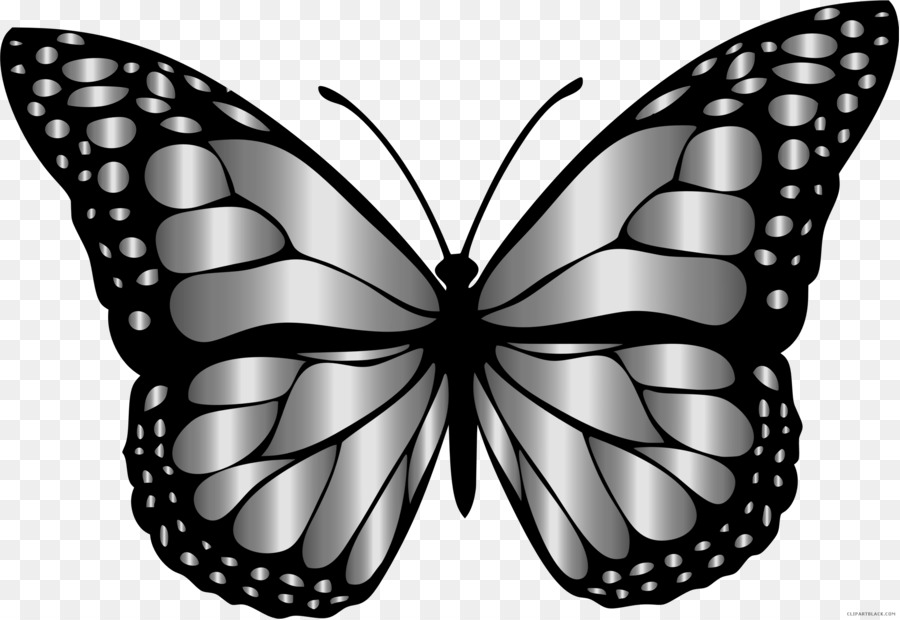 Butterfly Black And White Clipart Butterfly Wing Line