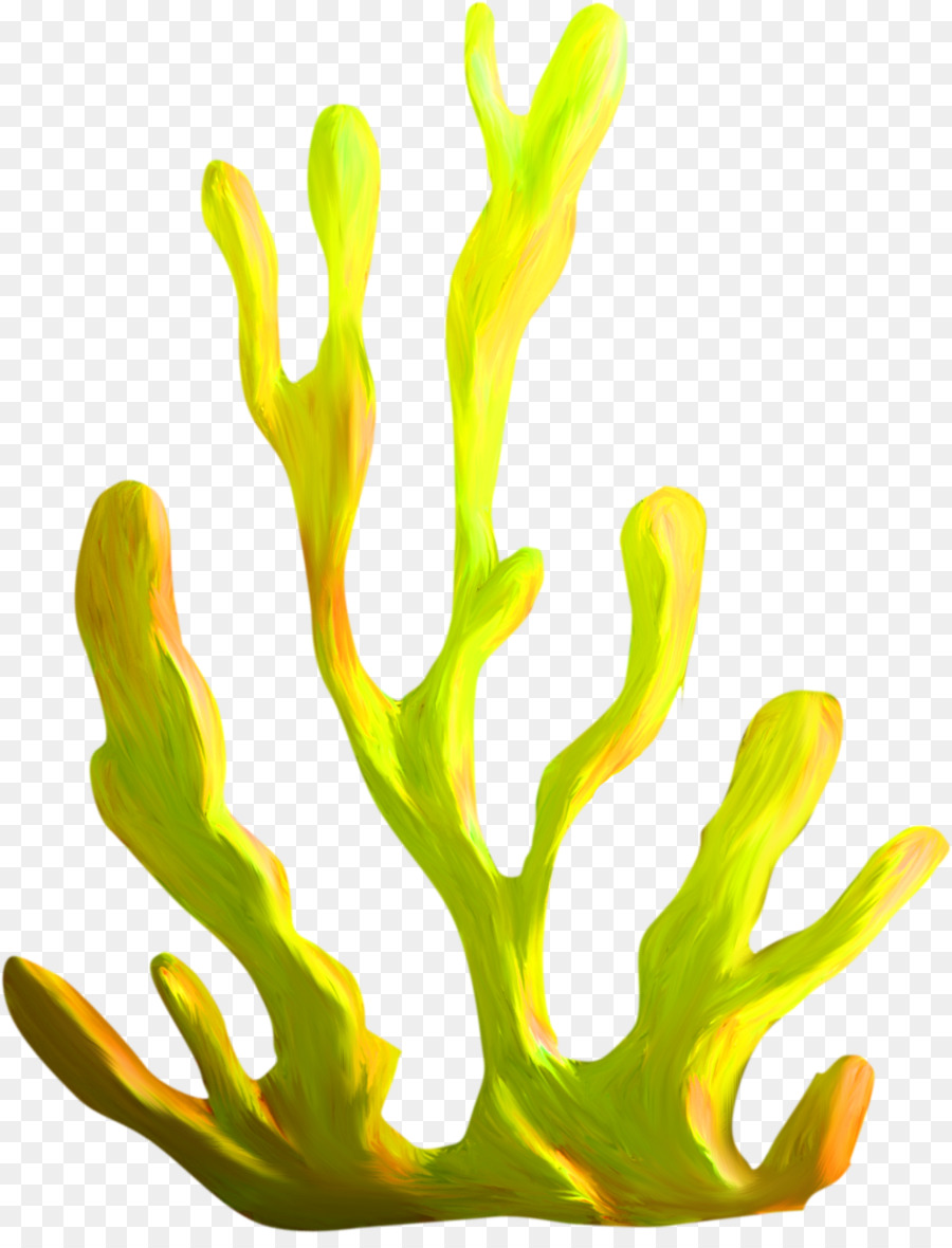 Coral Background Clipart Seaweed Yellow Plant Transparent Clip Art