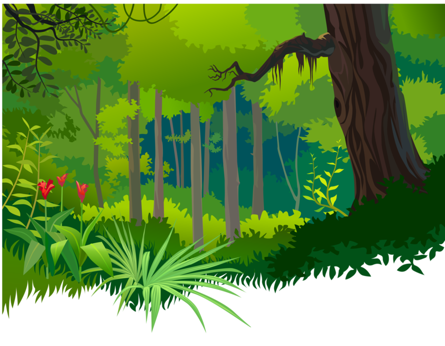  Cartoon  Forest  Background Png 