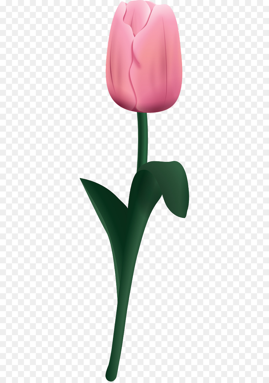 Pink Flower Cartoon Clipart Tulip Flower Drawing Transparent Clip Art