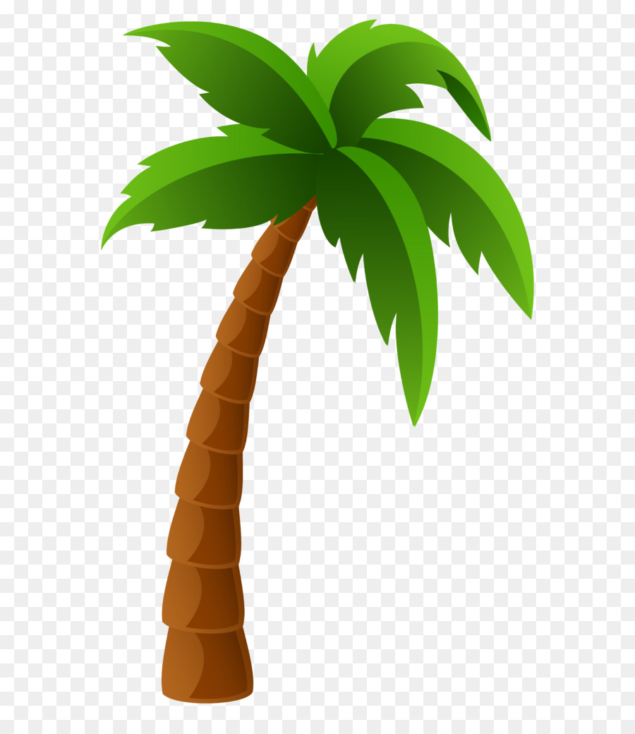 Cartoon Clipart Coconut Tree Png - Images | Amashusho