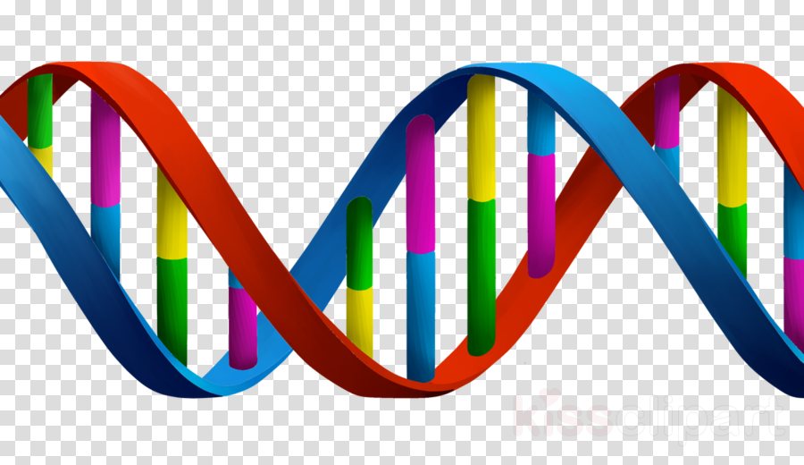 Dna Strand Png Know Your Meme Simplybe