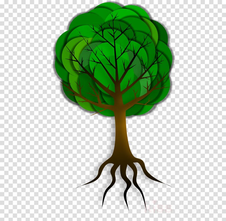 Featured image of post Cartoon Tree With Roots : Extend a curved line horizontally from each of the parallel lines.