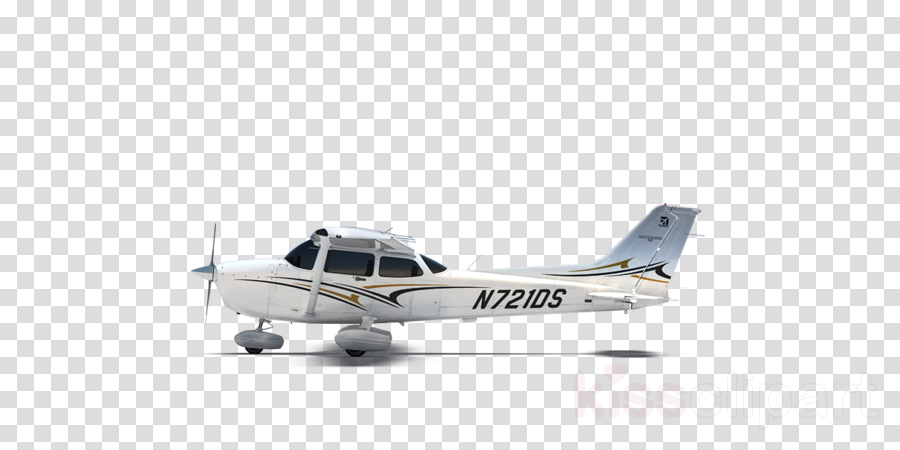 Cessna 206. 