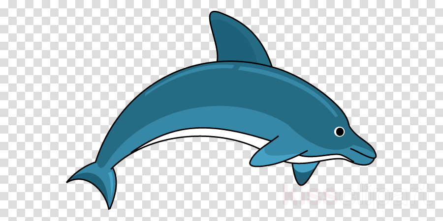 Featured image of post Transparent Cartoon Transparent Dolphin Clipart This makes it suitable for many types of projects