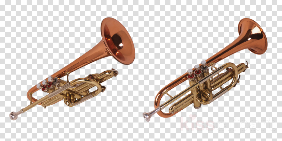 pink trumpet instrument for sale