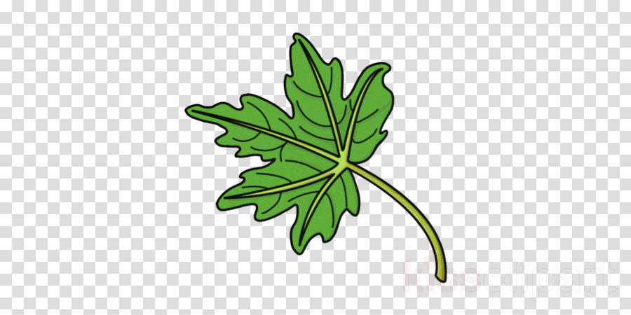 Green Leaf Background Clipart Illustration Graphics Leaf Transparent Clip Art - leaf roblox