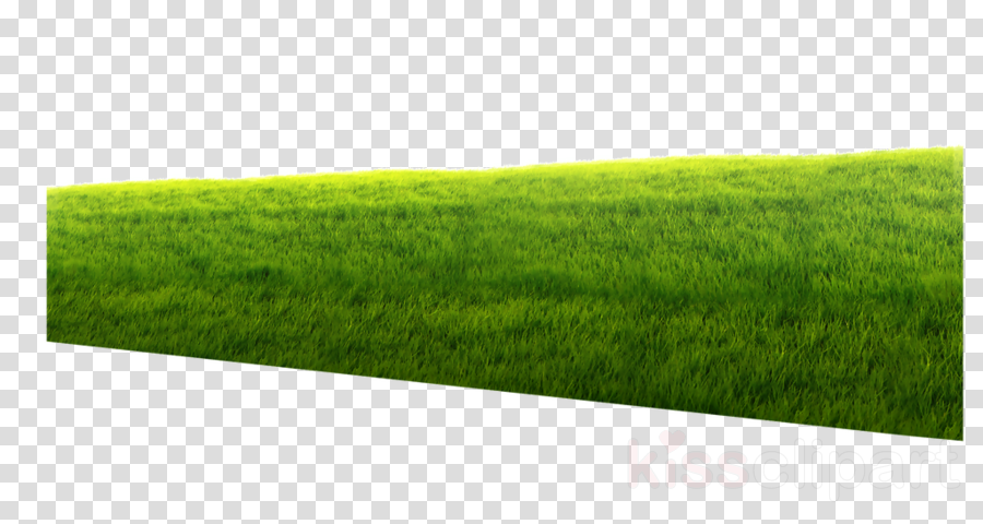 绿草背景剪贴画 汽车 插图 绿色 透明剪贴画 1金宝搏网站