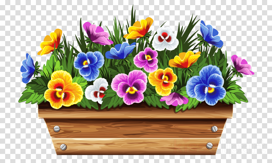 Floral Flower Background Clipart Flower Illustration Box Transparent Clip Art