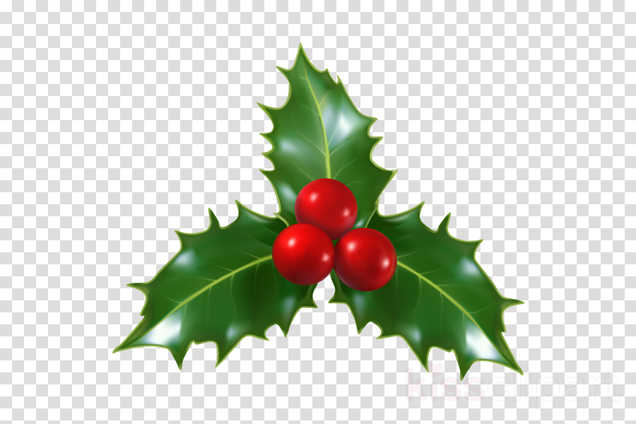 Christmas Decoration Cartoon Clipart Fruit Leaf Plant Transparent Clip Art