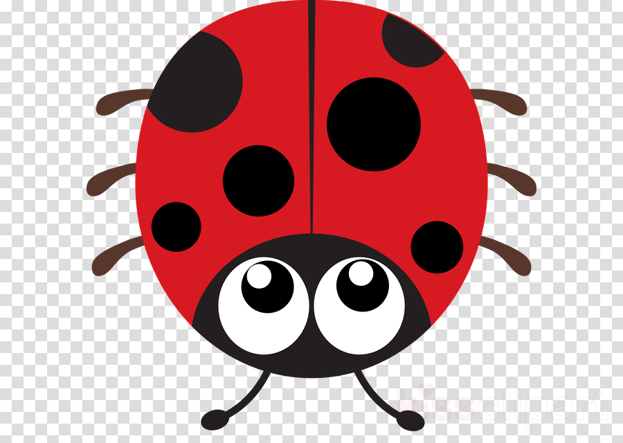 Download Ladybird Clipart