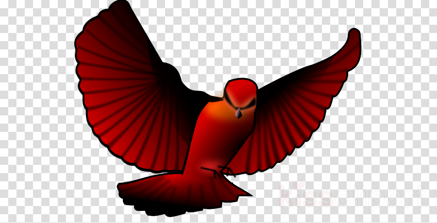 Flying Bird Clipart Transparent Background Bird Wallpaper